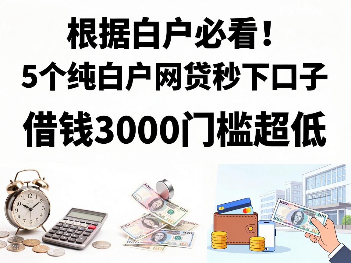 白户必看！这5个纯白户网贷秒下口子，借钱3000门槛超低