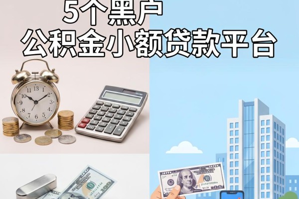 无视征信！实测这5个黑户公积金小额贷款平台，借款10000元体验超预期