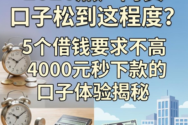 2026黑户网贷口子松到这程度？5个借钱要求不高、4000元秒下款的口子体验揭秘