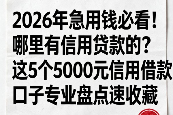 2026年急用钱必看!哪里有信用贷款的?这5个5000元信用借款口子专业盘点速收藏