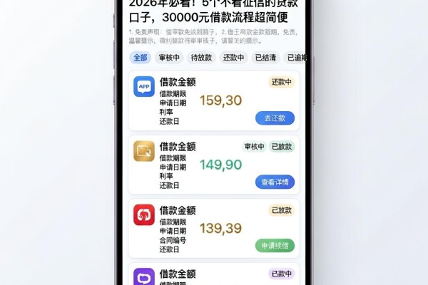 2026年必看!5个不看征信的贷款口子,30000元借款流程超简便
