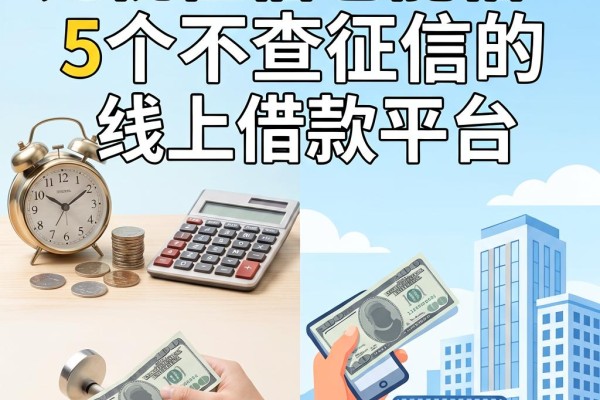 无视征信也能借!这5个不查征信的线上借款平台,急用钱能下款