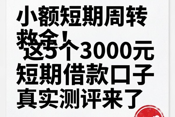 小额短期周转救急！这5个3000元短期借款口子真实测评来了