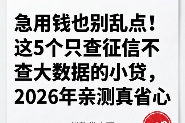 急用钱也别乱点！这5个只查征信不查大数据的小贷，2026年亲测真省心