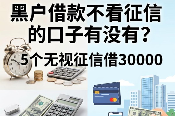 2026年必看！黑户借款不看征信的口子有没有？这5个无视征信借30000的app千万别错过