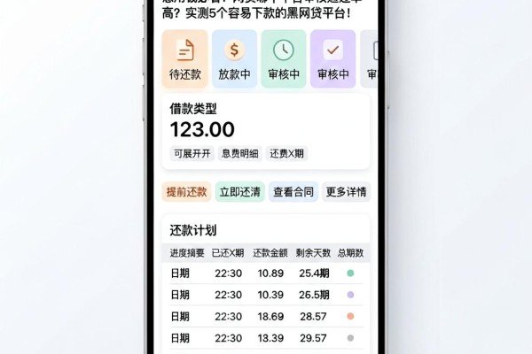 急用钱必看!网贷哪个平台审核通过率高?实测5个容易下款的黑网贷平台
