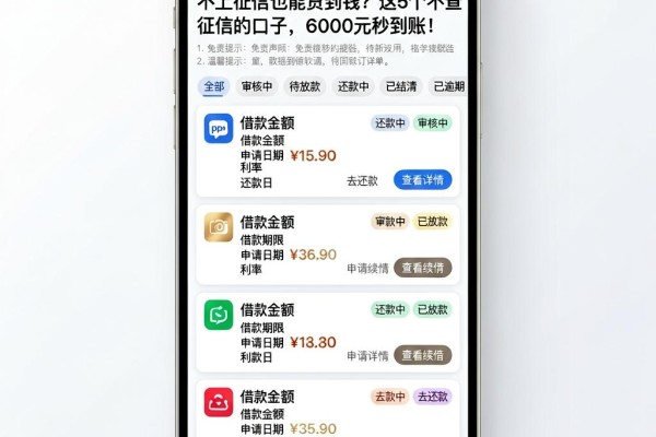 不上征信也能贷到钱？这5个不查征信的口子，6000元秒到账！