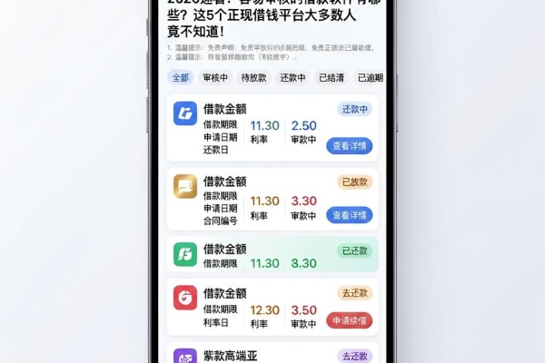 2026速看！容易审核的借款软件有哪些？这5个正规借钱平台大多数人竟不知道！