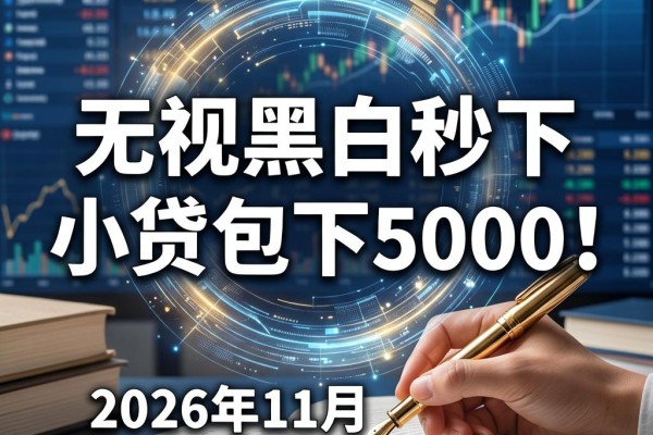 无视黑白秒下的小贷包下5000！2026年11月最新下款口子速览