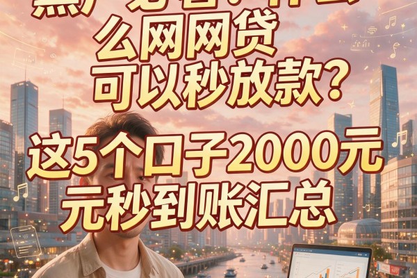 黑户必看!什么网贷可以秒放款?这5个口子2000元秒到账汇总