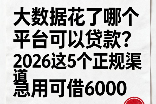 大数据花了哪个平台可以贷款？2026这5个正规渠道急用可借6000