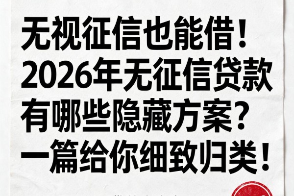 无视征信也能借！2026年无征信贷款有哪些隐藏方案？一篇给你细致归类！