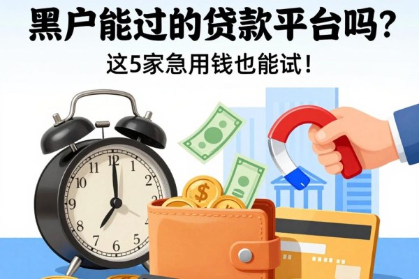 黑户必看!2026年还有大额网贷黑户能过的贷款平台吗?这5家急用钱也能试!