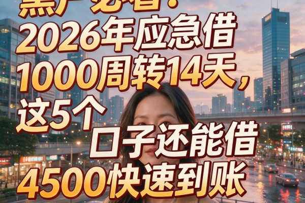 黑户必看！2026年应急借1000周转14天，这5个口子还能借4500快速到账