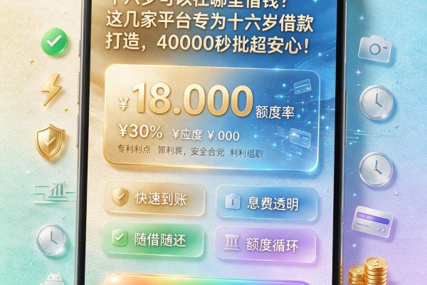 十六岁可以在哪里借钱?这几家平台专为十六岁借款打造,40000秒批超安心