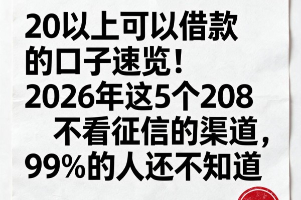 20以上可以借款的口子速览！2026年这5个208不看征信的渠道，99%的人还不知道