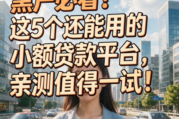 黑户必看!这5个还能用的小额贷款平台,亲测值得一试!