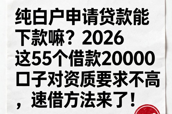 纯白户申请贷款能下款嘛?2026这5个借款20000的口子对资质要求不高,速借方法来了!