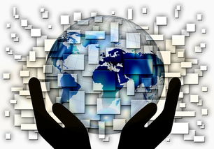 理财必看：市场风险识别与五大规避方案