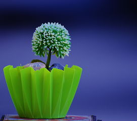 自由职业者借钱平台靠谱吗？5大贷款渠道必看攻略