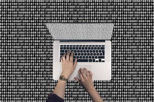 以太坊总量如何影响投资决策？掌握这些关键点让理财更高效