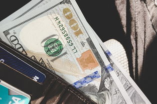 房贷20年利息多少？详解金额、利率与还款方式的影响