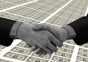 外汇存款是什么？新手理财必懂的资产配置技巧