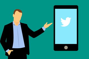 职业年金个人账户查询方法及常见问题全解