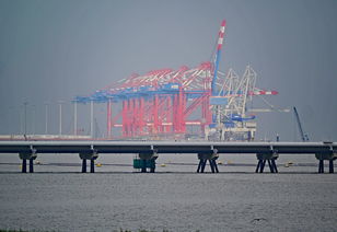 港口航运基金有哪些？理财必看的投资方向解析