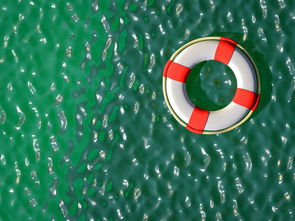 手头紧？别急！各平台借钱方式大公开，避坑指南快收好