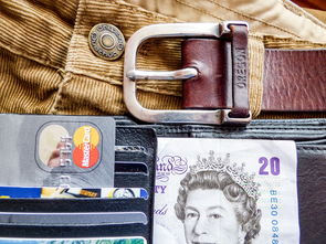 急用钱怎么办？这5个凭信用卡借钱的正规平台，最快5分钟到账！