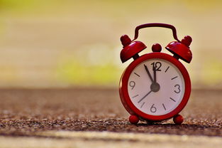 双11缺钱救急？这几个平台或许能帮你