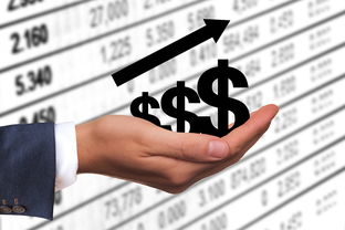 为啥突然借不到钱？这5个方法或许能帮到你！