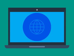 不查征信借款平台，国内十大无征信贷款平台