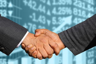 网贷征信很花怎么补救，省内十个贷款平台最靠谱