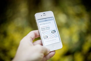 贷款代理平台汇款安全吗？这5点必须提前查清楚