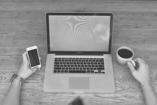 征信黑了如何查，例举10个百分百下款的借款平台