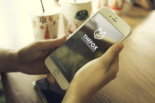 钱站和口子哪个好，分析十个借款不看征信的平台