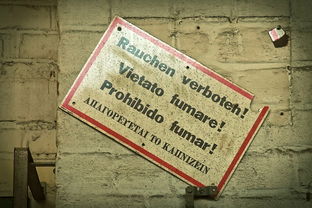 最新放水高炮口子，探讨十款17岁学生贷款平台