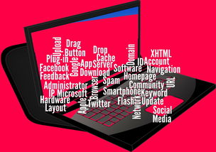 亿信钱包创新服务，汇总十个网络贷款平台哪家好