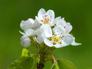 年能下款的黑户口子，分享十个好口子网贷