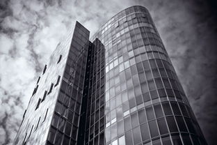 征信黑了如何购房，介绍十个不查征信的借钱平台