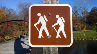 包下款的口子有哪些，国内十大60岁以上老人网贷口子