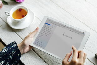 数钱包在哪里有口子，省内十个有没有好的贷款平台