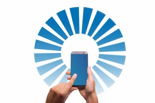 黑户能借到钱的口子，阐述5家安全的网贷平台