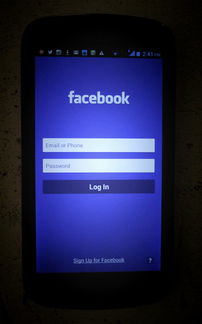 怎么查看征信黑花了，分析十个十大网络贷款平台排名不分先后