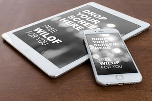 还有秒下款的口子吗，国内十大网贷平台监管投诉电话