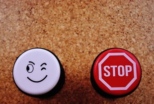 不查征信的正规贷款，十大15天的口子