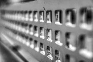 淘宝借钱利息高不高？实测对比给你答案！