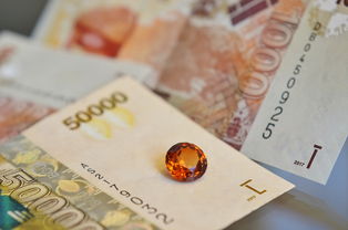 急用钱必看！借钱平台可借两年吗？一文全解析